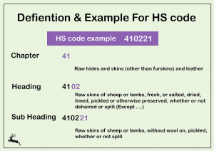 structure of hs code 